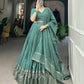 Lorenvalley Seagreen Pure Chanderi Plain With Zari Weaving Work Border Lehenga Choli | Swadesiicart
