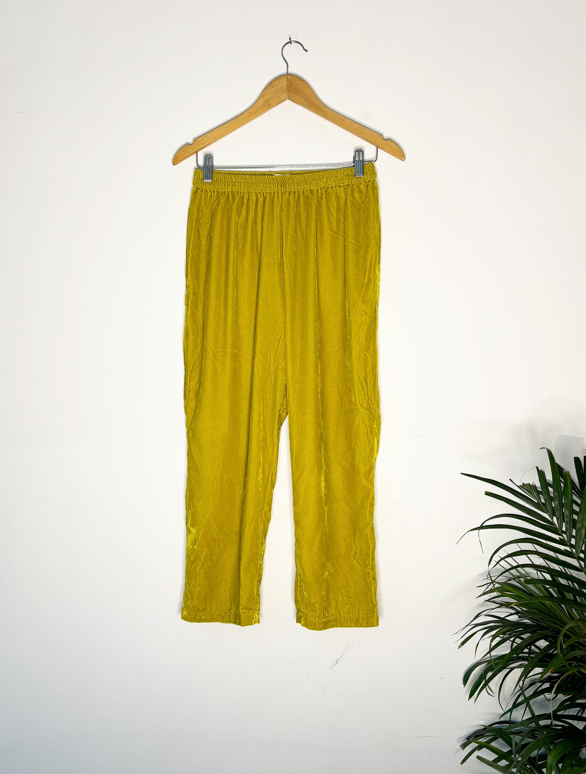 trueBrowns Lime Velvet Narrow Pant | Swadesiicart