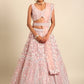House of Panchhi Pink Net Multi Sequins with heavy Zarkan embroidery Lehenga choli & Dupatta | Swadesiicart
