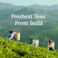 White Teas Gift Sampler, 4 Teas