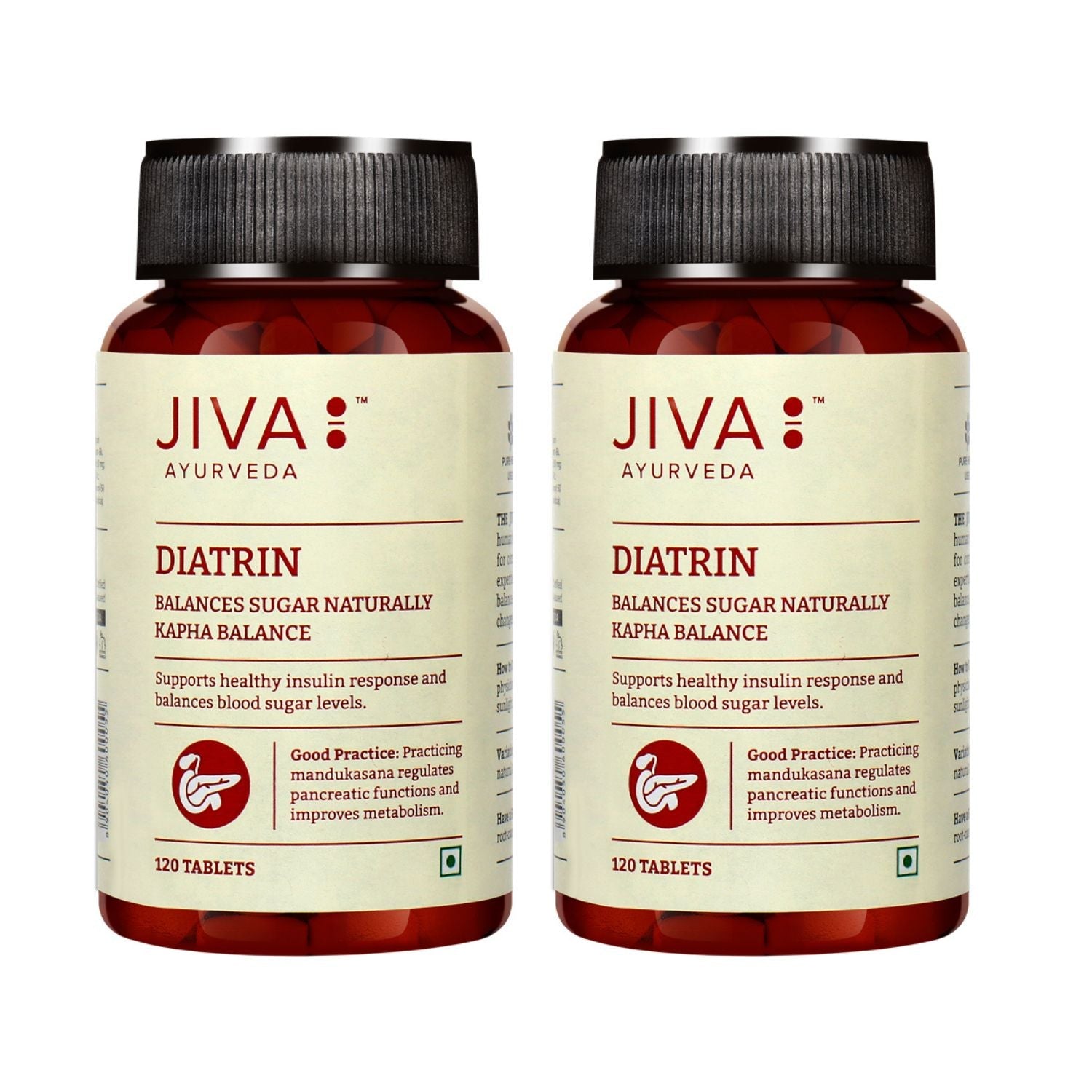 Jiva Ayurveda Diatrin Tablets - Swadesiicart