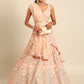 House of Panchhi Peach Net Multi Sequins with heavy Zarkan embroidery Lehenga choli & Dupatta | Swadesiicart
