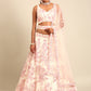House of Panchhi Cream Net Sequins with heavy Zarkan embroidery Lehenga choli & Dupatta | Swadesiicart