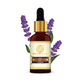 Khadi Natural Lavender Essential Oil - 15ml