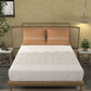 MYTRIDENT Unisex Orange Bedsheets - Swadesiicart