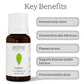 Aroma Treasures Petitgrain Pure Essential Oil