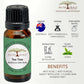 All Naturals Pure Tea Tree Essential Oil