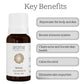 Aroma Treasures Vertivert Pure Essential Oil