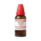 Dr. Willmar Schwabe India Mandragora Officinarum Dilution | Swadesiicart