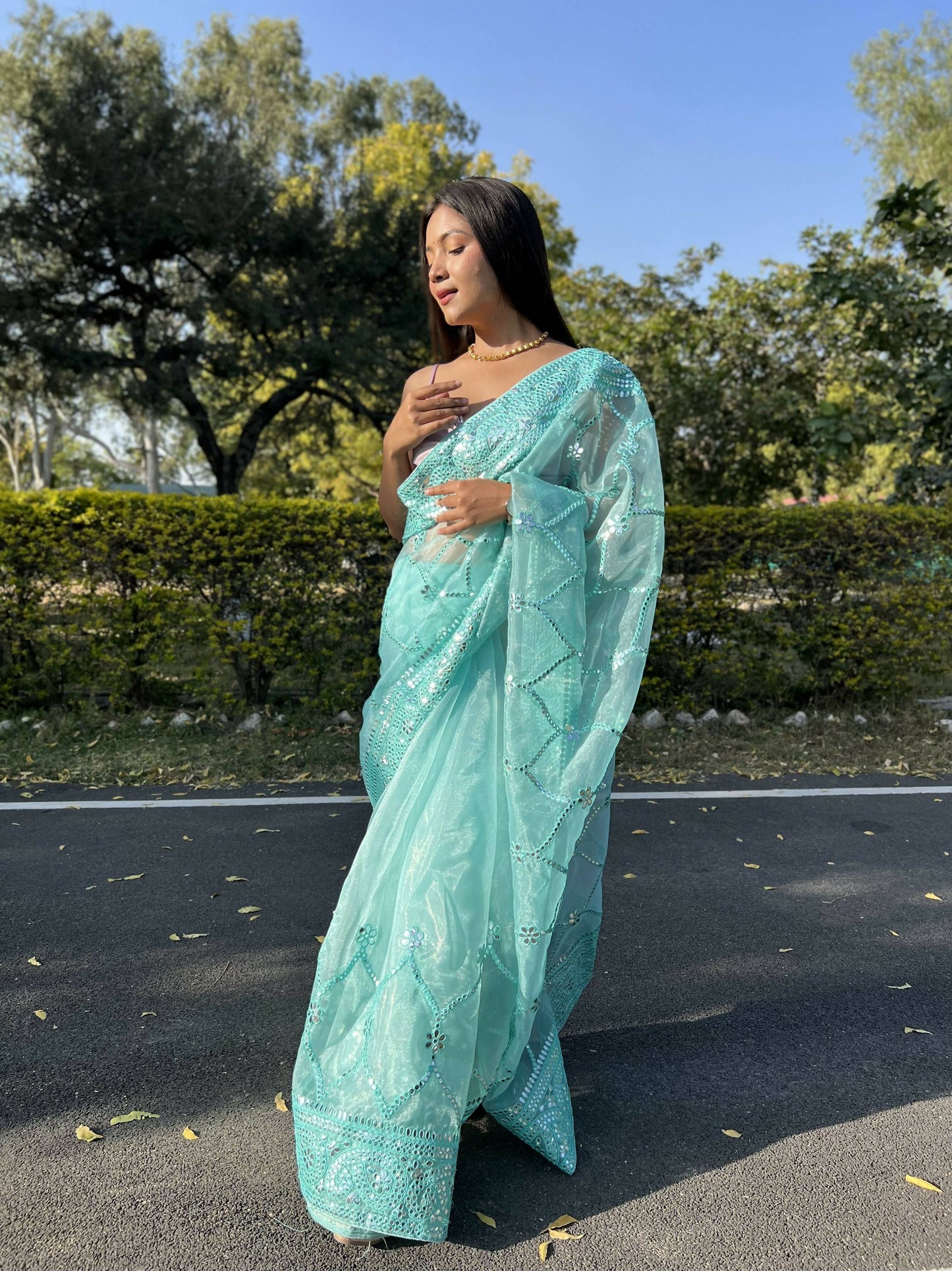 Vamsee Naina Blue Organza Saree - Swadesiicart