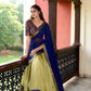 Lorenvalley Pista Kanchipuram Zari Weaving Work Lehenga Choli | Swadesiicart
