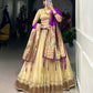 Lorenvalley Cream Erode Plain With Paithani Lace Border Lehenga Choli with Dupatta | Swadesiicart