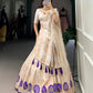 Lorenvalley Off White Pure Shimmer With Weaving Work with Mirror And Beads (Moti) Hand Work Lehenga Choli | Swadesiicart