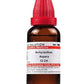Dr. Willmar Schwabe India Achyranthes Aspera Dilution | Swadesiicart