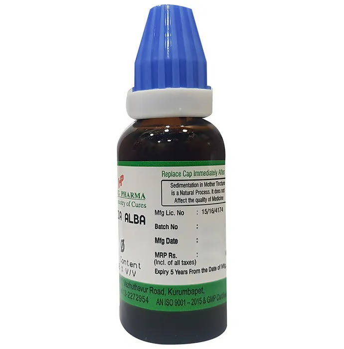 Hering Pharma Bryonia Alba Mother Tincture Q | Swadesiicart