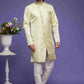 Raivat Ethnic Banarasi Jacquard Embroidery Semi Indo Western Sherwani In Pista Green Colour | Swadesiicart