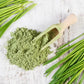 wheat grass powder
