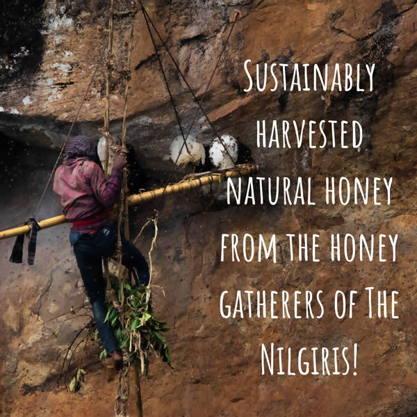 Lastforest Ginger Honey - Swadesiicart