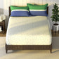 Nautica Noridge Green & Blue Floral Cotton 160 TC King Bedsheet With 2 Pillow Covers - Swadesiicart