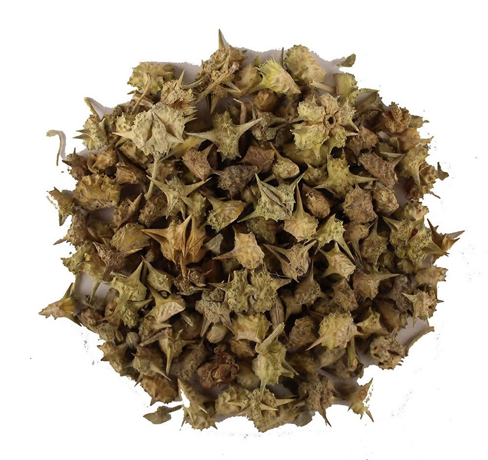 Dark Forest Urine Tonic Range Combo | Swadesiicart