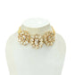 Mominos Fashion Joharkamal Gold-Polished Brass Finish Stone Choker For Women & Girls (Golden) | Swadesiicart