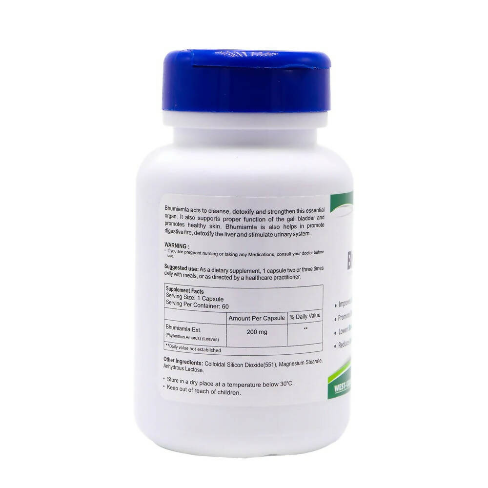 Healthvit Bhumiamla Capsules - Swadesiicart