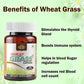 Cipzer Wheat Grass Capsules - Swadesiicart