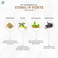 Pathak Ayurvedic Pharmacy Stanil-P Forte Tablets - Swadesiicart