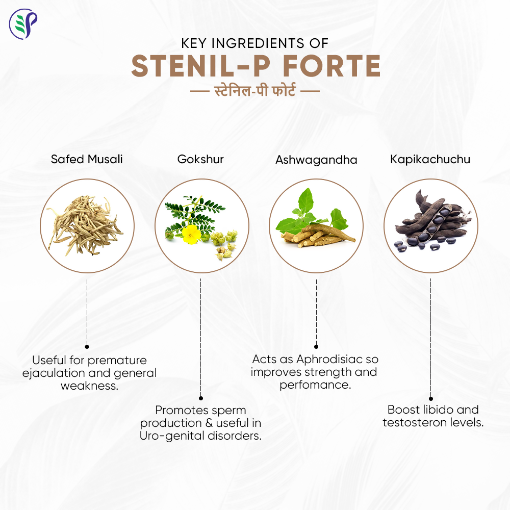 Pathak Ayurvedic Pharmacy Stanil-P Forte Tablets - Swadesiicart
