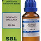 SBL Homeopathy Solidago Virgaurea Dilution | Swadesiicart