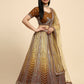 Brown Fancy Net Sequence Embroidered Lehenga Choli with Dupatta - Dhara | Swadesiicart