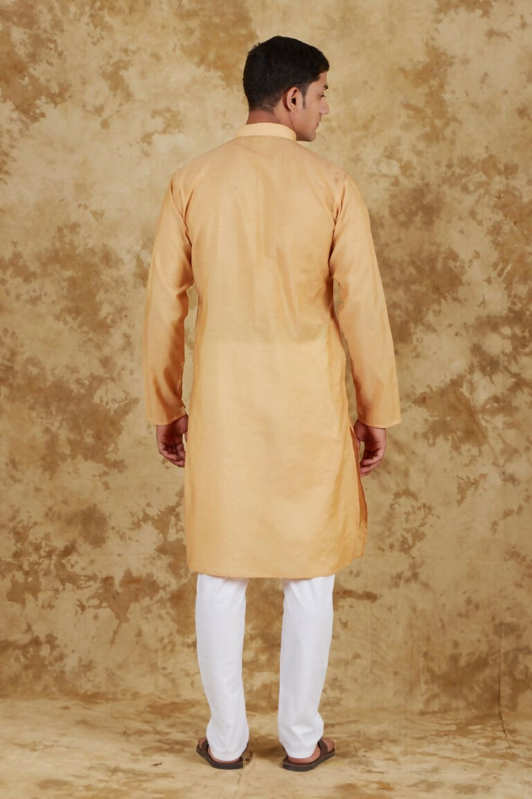 Bluesaanchi Men's Chandery Silk Khaki Embroidered Kurta Set | Swadesiicart