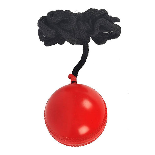 SG Iball Synthetic Hanging Ball - Red - Swadesiicart