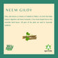 Ayurvedix Neem Giloy Ark - Swadesiicart