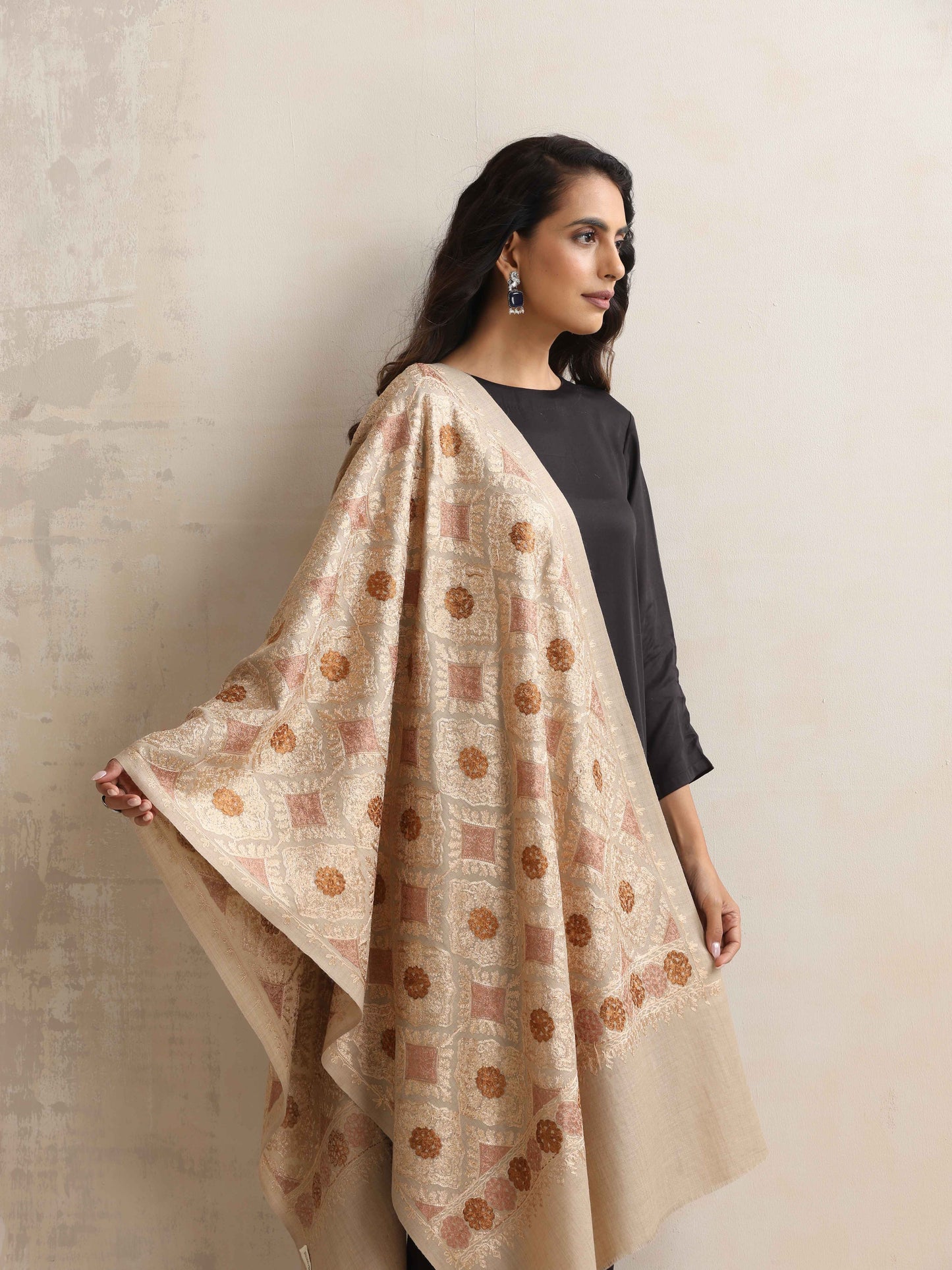 trueBrowns Beige Geometric Embroidered Woollen Stole | Swadesiicart
