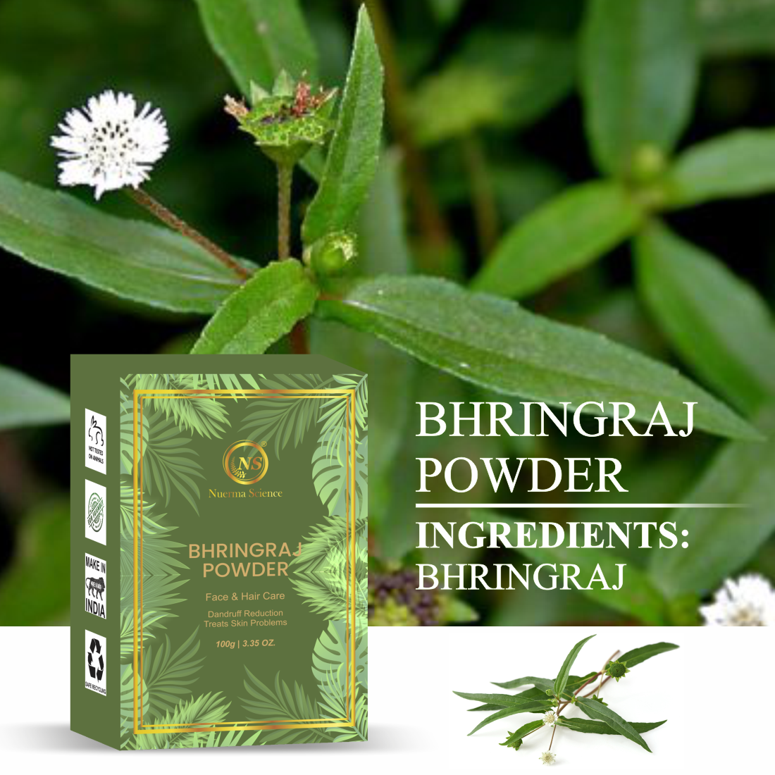 Nuerma Science Bhringraj Natural & Organic Powder | Swadesiicart