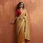 trueBrowns Gold Tissue Ready To Wear Saree | Swadesiicart