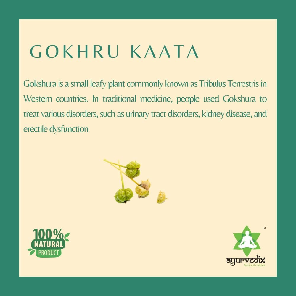 Ayurvedix Gokhru Kaata Ark - Swadesiicart