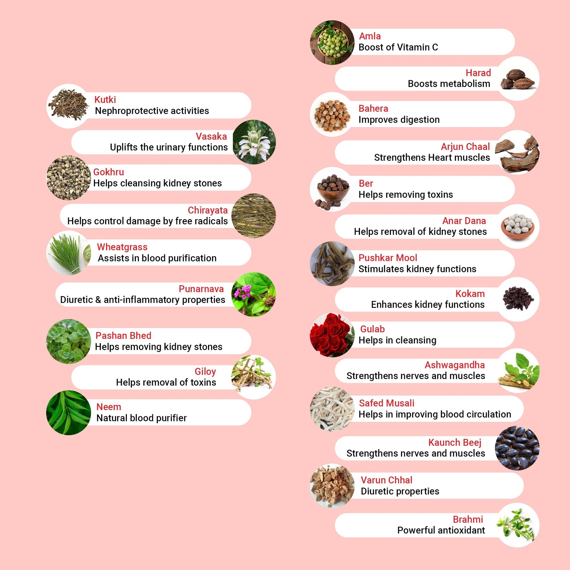 Krishna'S Herbal & Ayurveda Kidney Re-Live Tablets | Swadesiicart
