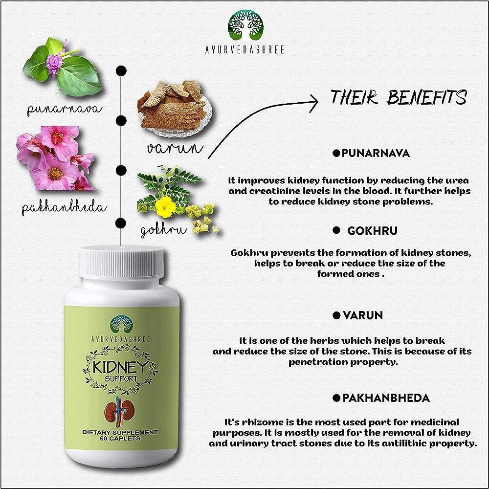 Ayurvedashree Kidney Support Caplets - Swadesiicart