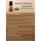 Ancient Living Rosemary Essential Oil
