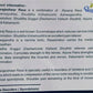 Dhootapapeshwar Rasarajeshwar Rasa