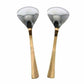 Serving Spoons Set of 2 for Dinner - ware - Swadesiicart