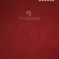 Shades of Light Chikoo Colour With Patola Design Pure Kota Cotton Saree By Gayathri Reddy Designer Studio | Swadesiicart