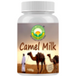 Basic Ayurveda Camel Milk Powder