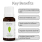 Aroma Treasures Patchouli Pure Essential Oil