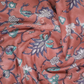 Pastel Chikoo Coloured Combination Printed Cotton Saree By Gayathri Reddy Designer Studio | Swadesiicart