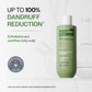 Bare Anatomy Expert Anti-Dandruff Shampoo with Salicylic Acid & Biotin | Swadesiicart