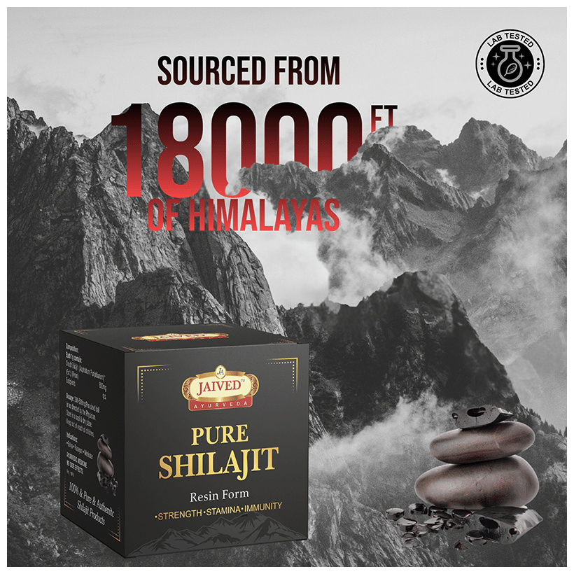 Jaived Ayurveda Sj Resin | Swadesiicart