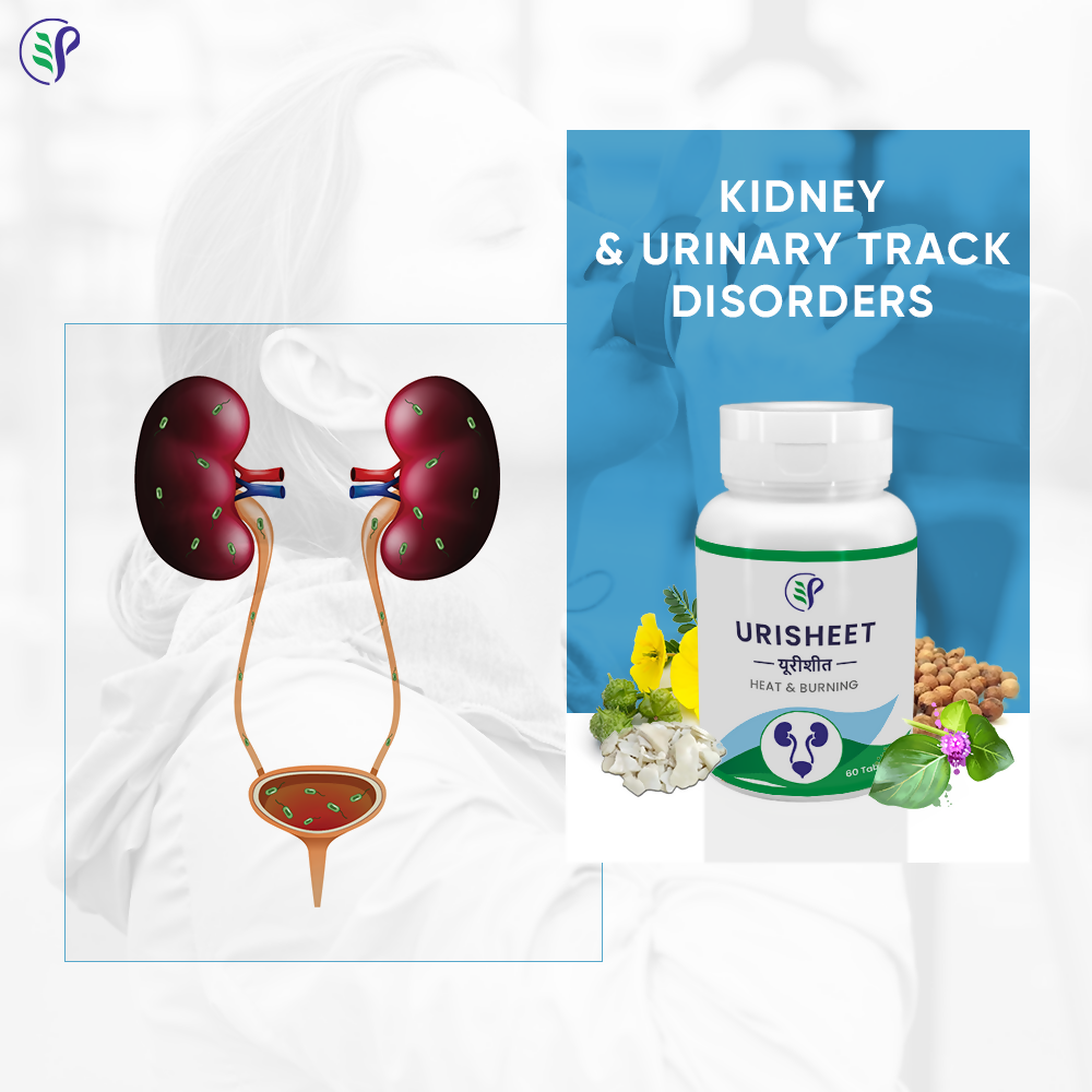 Pathak Ayurvedic Pharmacy Urisheet Tablets - Swadesiicart
